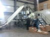 Iraid - Wallnut Sorting line - Elevating conveyors (1)